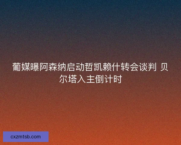 葡媒曝阿森纳启动哲凯赖什转会谈判 贝尔塔入主倒计时