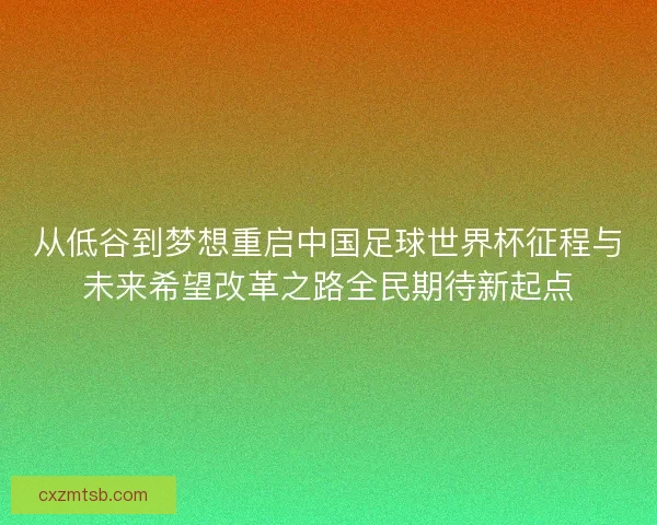从低谷到梦想重启中国足球世界杯征程与未来希望改革之路全民期待新起点