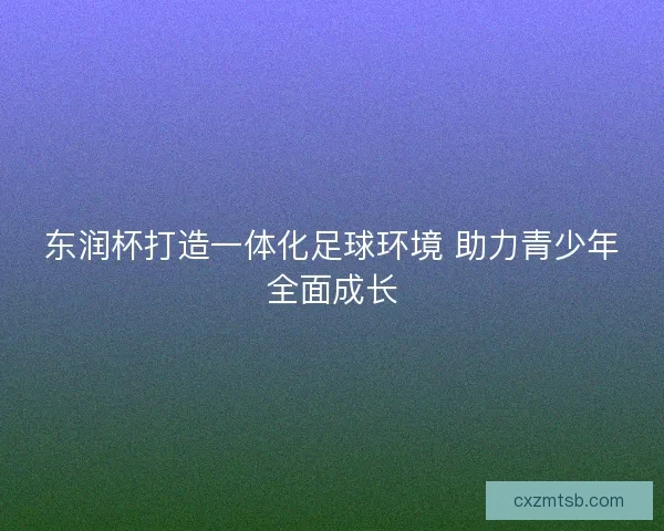 东润杯打造一体化足球环境 助力青少年全面成长